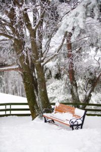 冬におすすめのデコルテを守る防寒重視下着は？