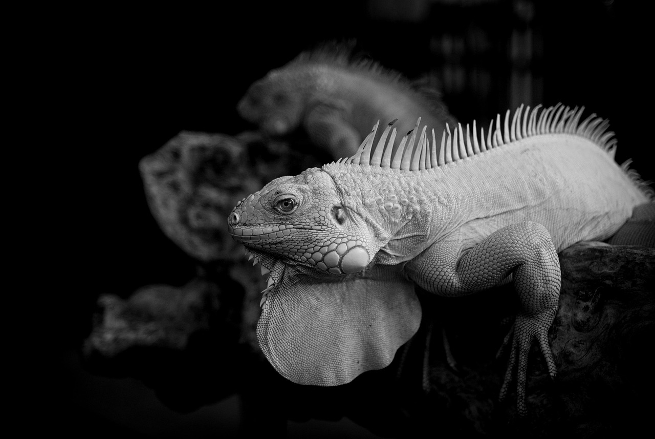 デコルテのくすみを解消するための美白ケアは何が効果的？