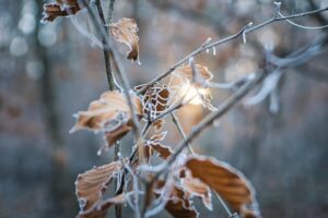 冬におすすめの手保湿パックで乾燥対策は？