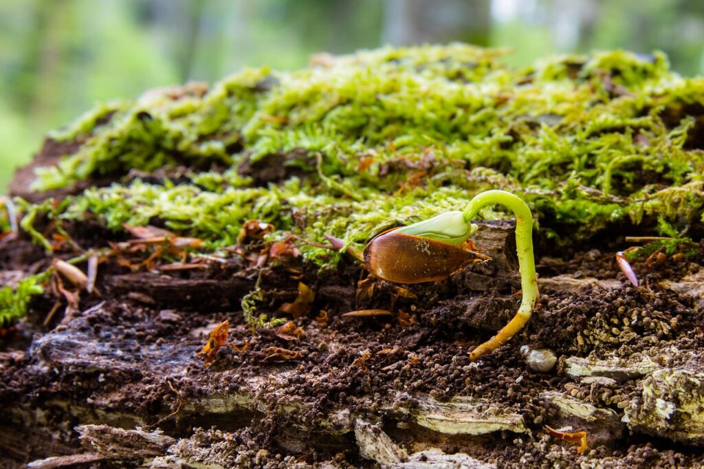 手の甲の若返り方法にはどんなものがある？