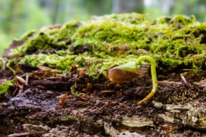 手の甲の若返り方法にはどんなものがある？