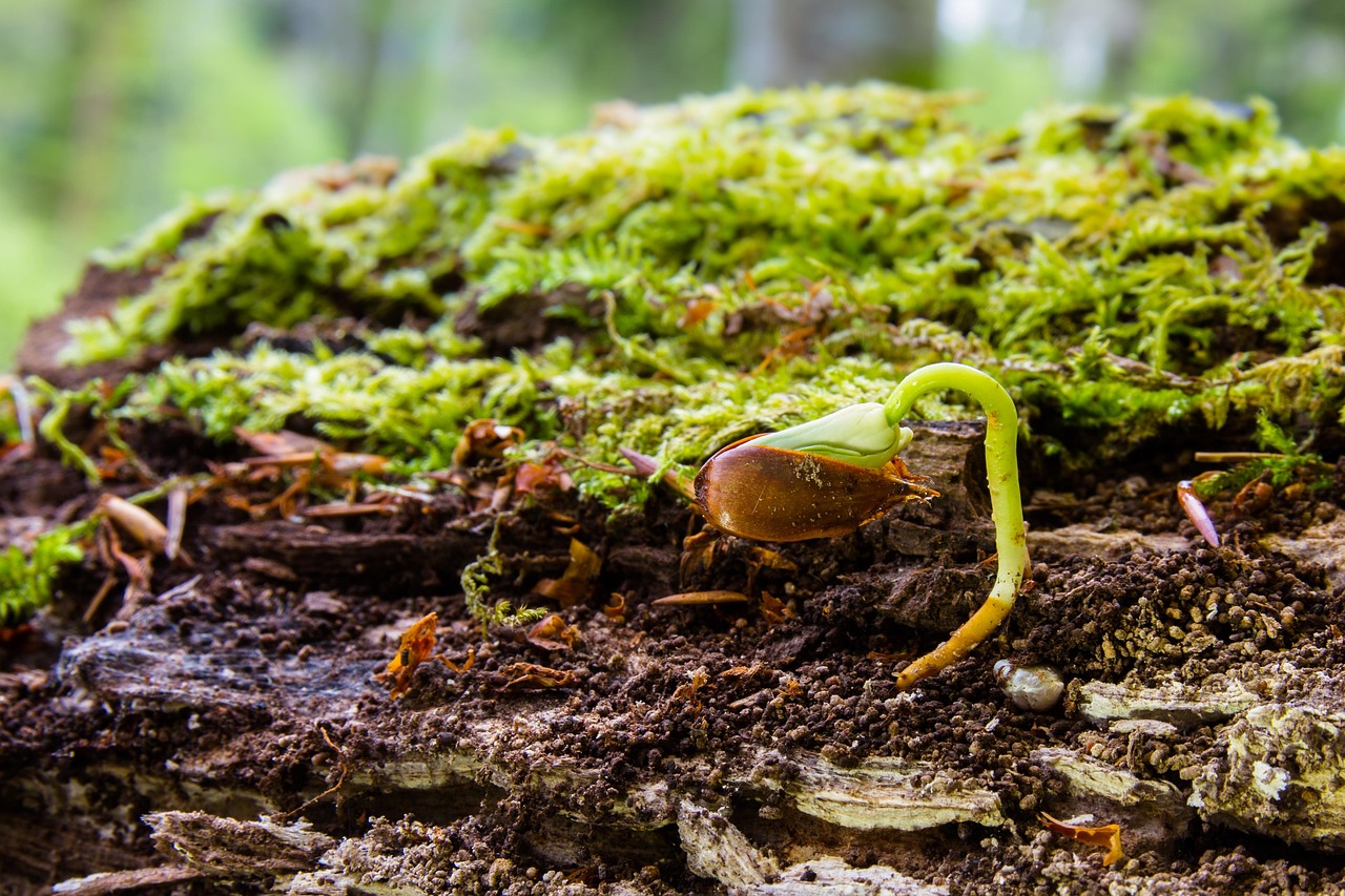 手の甲の若返り方法にはどんなものがある？