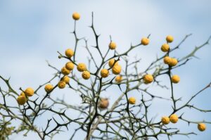 手の甲の乾燥による皮むけ対策は？