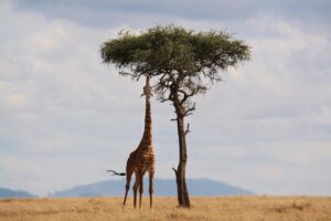 首や手の甲、デコルテのシミ対策はこれで決まり？
