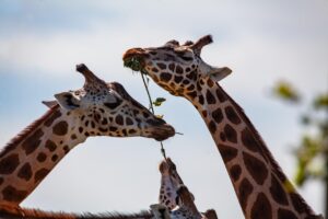 首や手の甲、デコルテのハリ不足を解消する対策は？