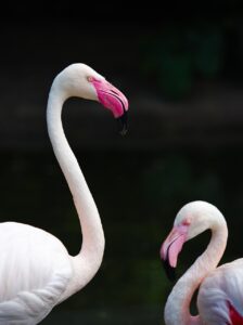 首や手の甲、デコルテの乾燥対策はこれで決まり？